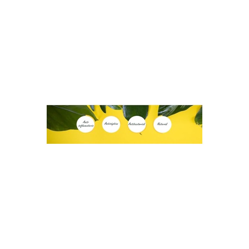 HELIOPSIS DE VIDA EXTRACTO DE CHILCUAGUE DE 70 ML EL