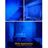 JandCase Blue Night Light, Blue Nightlight[2 Pack],0.3 Watt LED Night