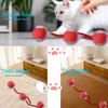 Interactive Cat Dog Toy Ball: Indoor Automatic Moving Smart Rolling