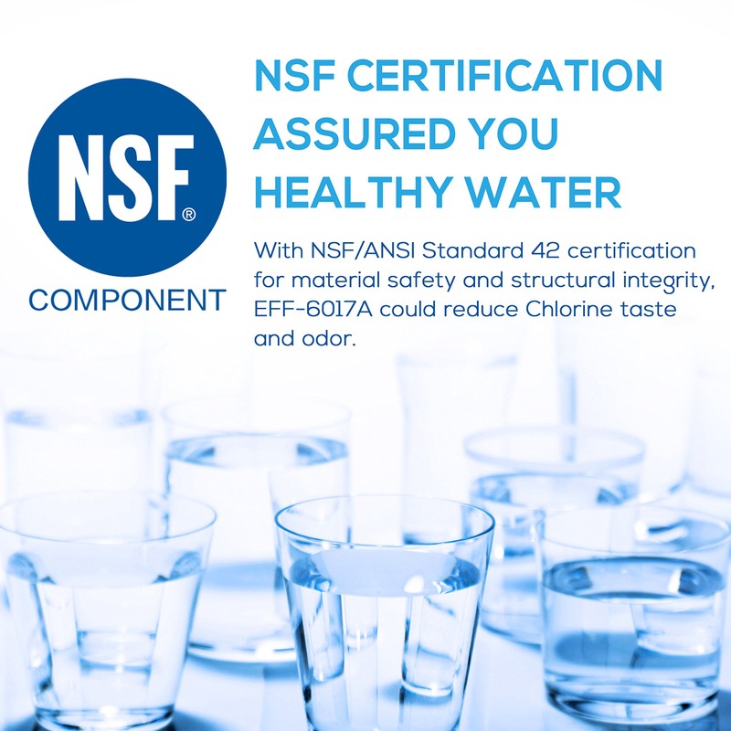 EcoAqua EFF-6017A Replacement for Fisher & Paykel 836848 Refrigerator Water