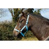 Rhinegold Nylon Headcollar - Shetland - Baby Blue