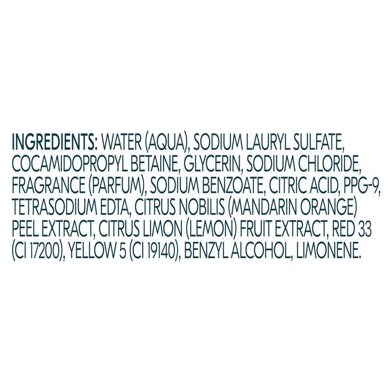 Degree All Day Fresh Body Wash Fresh Citrus Deep Cleansing