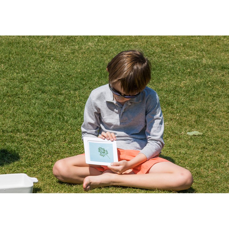 Nature Print Paper Sun Printing Kit