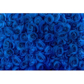 Yeele 10x8ft Blue Rose Wall Backdrop for Photography Royal Blue Rose Flowers Background for Wedding Bridal Shower Birthday Party Decor Kids Adults Women Artistic Portrait Photo Shoot Props