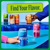 Zevia Zero Sugar Soda, Ginger Ale, 12 oz Cans (8-Pack)