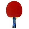 Tamasu 16950 Table Tennis Racket, Harimoto 2000