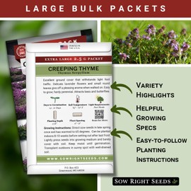 Sow Right Seeds - Bulk Creeping Thyme Seeds for Planting - 2.5 Grams, 18500 Seeds - Non-GMO Heirloom Jumbo Pack with Instructions - Purple Lawn Alternative - Bountiful Herb for Filling Garden Beds