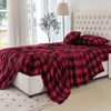Elegant Comfort Luxuriously Soft 4-Piece Velvet Plush Flannel Sheet Set