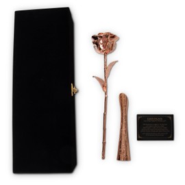 VonDelve 24K Rose Gold Dipped Long Stem Real Rose, Natural Handpicked Genuine Flower Preserved as an Everlasting Keepsake for Wife, Mother or Best Friend, Birthday or Anniversary Rose Gold