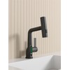 Heemab Pull-Out Lift Bathroom Basin Faucet with LED Temperature Display,