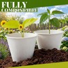 Roshtia 100% Biodegradable Ice Cream Cone Cups 6oz Compostable Sugarcane
