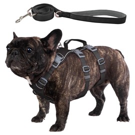 Wuffley Escape Proof Dog Harness and Leash Set, Lightweight Dog Harness with Lift and Assist Handle, No Pull Reflective Pet Vest for Small Medium Dogs, Ideal for Puppy Walking and Training (Black, M)