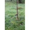 Haxnicks Strimguard | Tree Trunk Protectors | Cover For Young