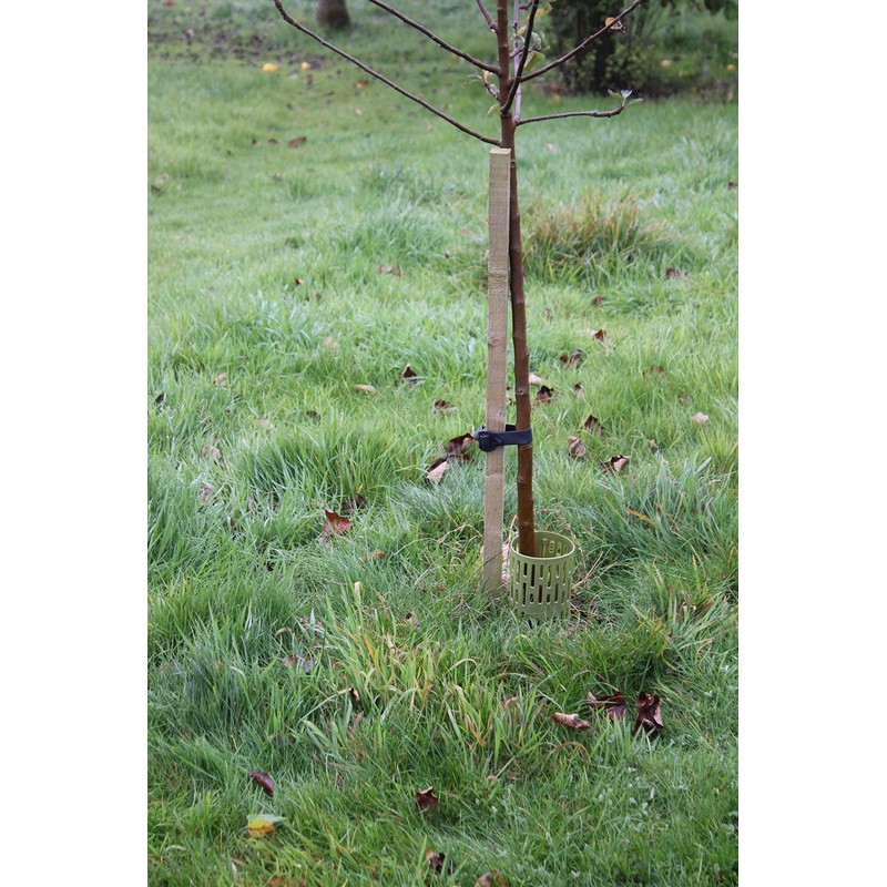 Haxnicks Strimguard | Tree Trunk Protectors | Cover For Young