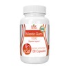 Logic Nutra Mastic Gum 120 Vegetable capsules