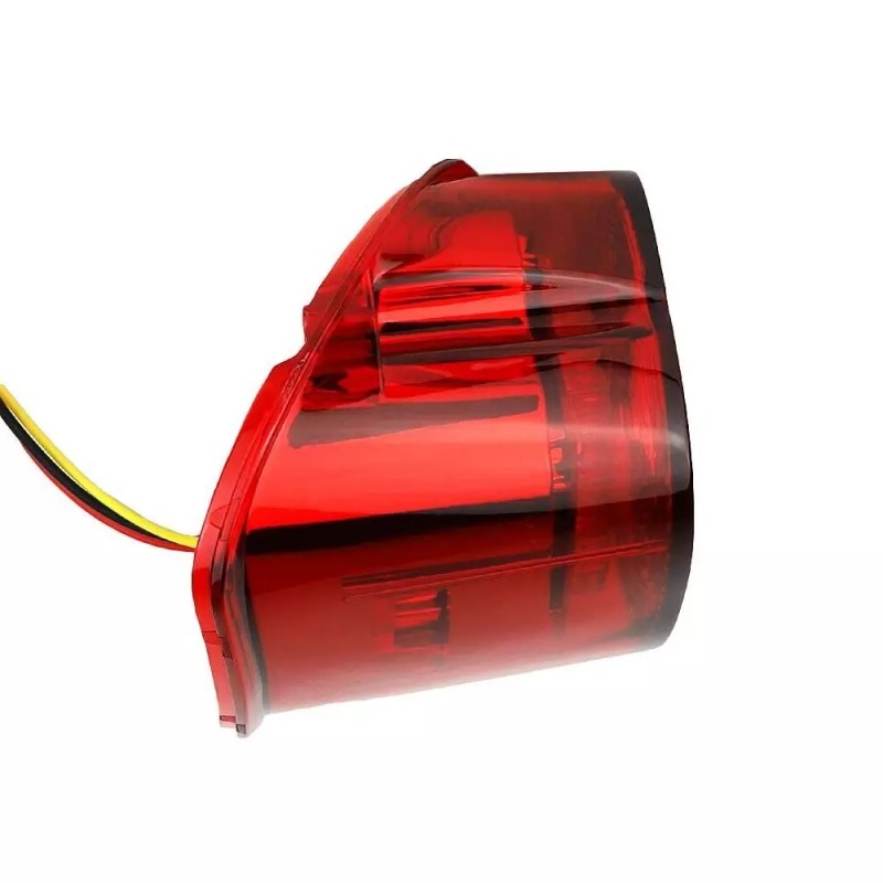 Eagle Lights Red Strobing LED Taillight Kit for Harley Freewheeler
