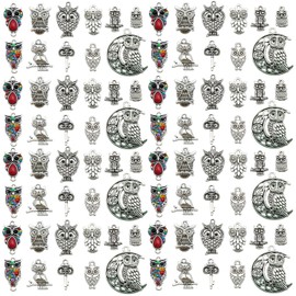 Youdiyla 66Pieces Owl Series Antique Silver Pendant Jewelry Making DIY Keychain Earrings Pendant Various Design Charms for Jewelry Making Bracelets Necklace (SN612)
