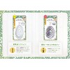 Beauty World Forest Tunnel Spring Cushion Brush Double Soft Pin