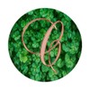 C Pink Clover Shamrock 4 Leaf Plant Initial Monogram Letter