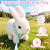 hehred Bunny Toys for Kids with Carrot, Interactive Plush Bunny