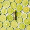 Sun Bum Sunscreen Lip Balm, Key Lime, Spf 30, Lime,