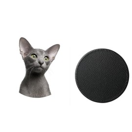 Set Of 4 Oriental Cat Pet Family Synthetic Leather Round Coasters And Gift Box