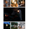 Camping Moon T-4 Portable Gas Lantern, Mini Gas Lantern, For
