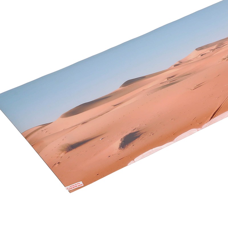 Aquarium Poster PVC Self Adhesive Waterproof 3D Desert Style Fish