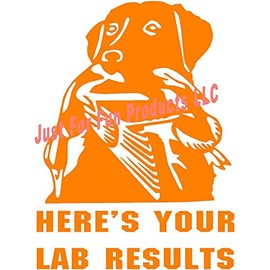Just For Fun 5.75 x 4.25 Lab Results Duck Labrador Dog Vinyl Die Cut Decal Bumper Sticker, Windows, Cars, Trucks, laptops, etc