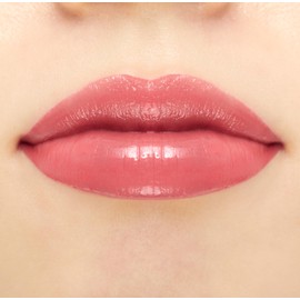 ANNA SUI Lipstick Rouge, Smooth Fit Texture, Vibrant Color, Long Lasting Shine and Moisture, 0.12oz