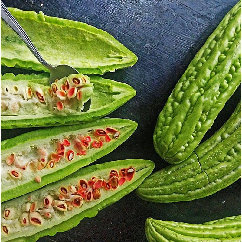 15 Bitter Melon Seeds: Heirloom Bitter Gourd, Easy to Plant