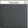 GIRA 029928 Wippe with Inscription Field System 55 anthracite