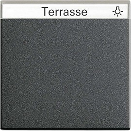 GIRA 029928 Wippe with Inscription Field System 55 anthracite