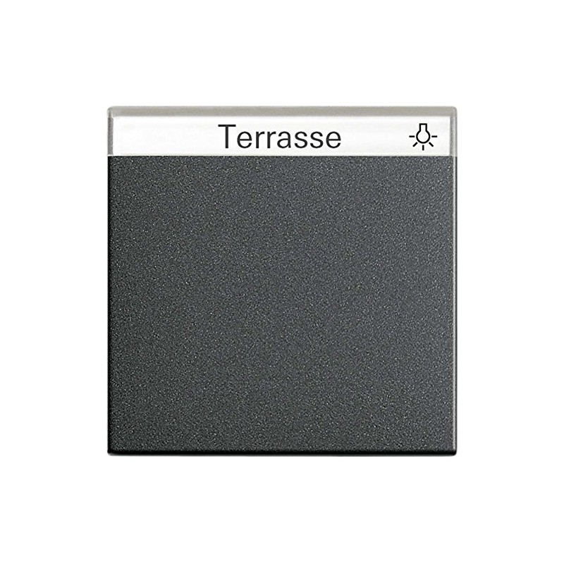 GIRA 029928 Wippe with Inscription Field System 55 anthracite