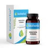 Bioherba Prostate Essentials 100 Capsules