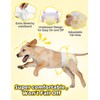 Dono Disposable Dog Nappies for Female with Stretchy Waist, Full
