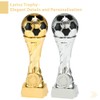 Larius Football Cup Award Trophy in Gold and Silver (without