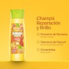 Frutastica Banana Shampoo by Skala for Women - 10.99 oz