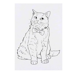 'Fancy Bow Tie Cat' Temporary Tattoo - Water Resistant, Skin-Safe, Non-Toxic Transfer (TO00072069)