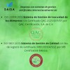 Moringa Orgánica 100 Pura bolsa con 100 cápsulas