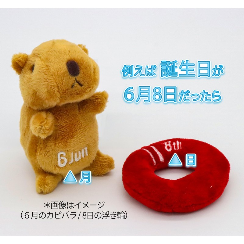 Takeoff Plush Capybara 365 May