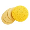 Glow Ceuticals 10 Paquetes De Esponjas Celulosa Comprimida De 24