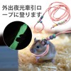 PAVIKE Reptile Training Lead Harness, Lizard Lead, Small Animal Lead,