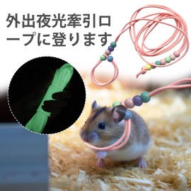 PAVIKE Reptile Training Lead Harness, Lizard Lead, Small Animal Lead, Guinea Pig Harness, Rabbit Harness, Hamster Lead, Fluorescent, Flexible, Adjustable, Popular, Turtle, Ferret, Hamster, Reptile,