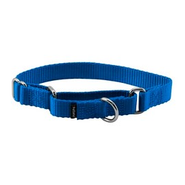 PetSafe Adjustable Martingale Collar - Only Tightens When Dogs Pull, Prevents Slipping Out - Helps with Strong Pullers, Increased Control - Alternative to Choke Collar - 3/4", Small, Royal Blue