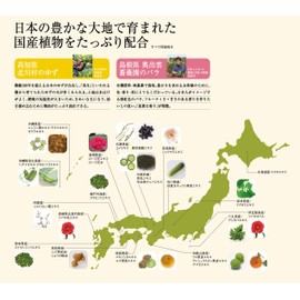 Japan Health and Beauty - Rinkoi remedy Al treatments Rose & Camellia refill *AF27*