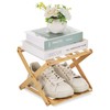 Fentar 2-Tier Narrow Shoe Rack
