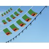 FFILL Zambian Banner Flag String, Zambia Mini Flag Small Banner,