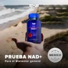 NAD+ Resveratrol Con Nicotinamida Ribosa y Quercetina 5H8 NUTRITION