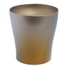 HORIE T15SN250G2SET Titanium Double Layer Tumbler, Limited Model, Gold, Set